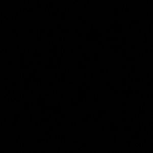 Meet your Posher, Oscar