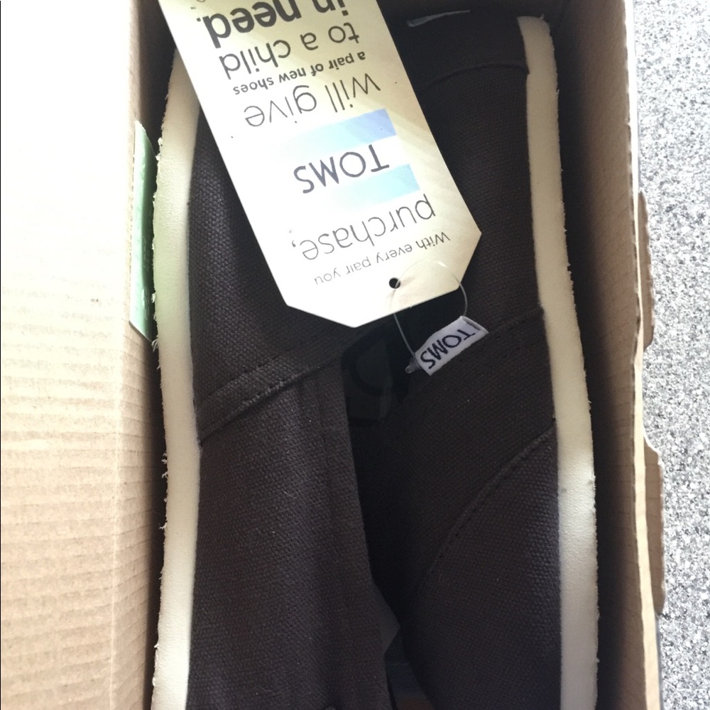 Classics Chocolate Canvas Toms