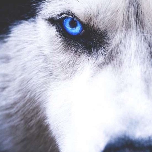 Meet your Posher, Michael - Picture 1 of 1