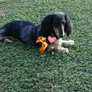 Meet your Posher, Jean