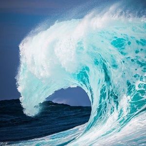 Meet your Posher, Maddie