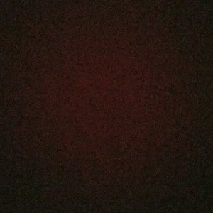 Meet your Posher, Evelyn