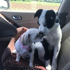 Meet your Posher, Brenda