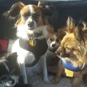 Meet your Posher, Beth