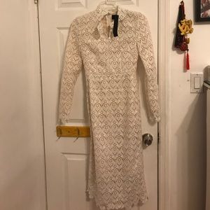 Arrogant Cat White Lace Ball Dress