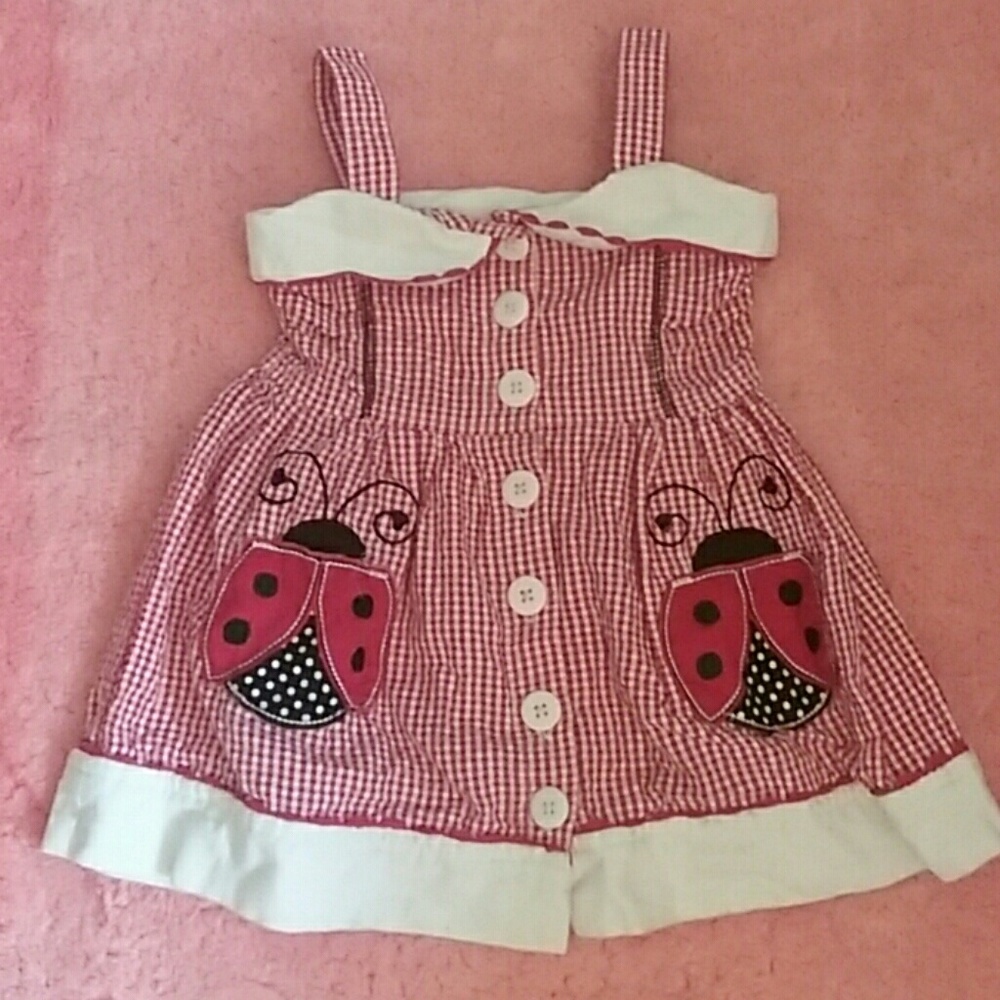 Ladybug Toddler dress 2T