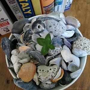 Meet your Posher, Elleo