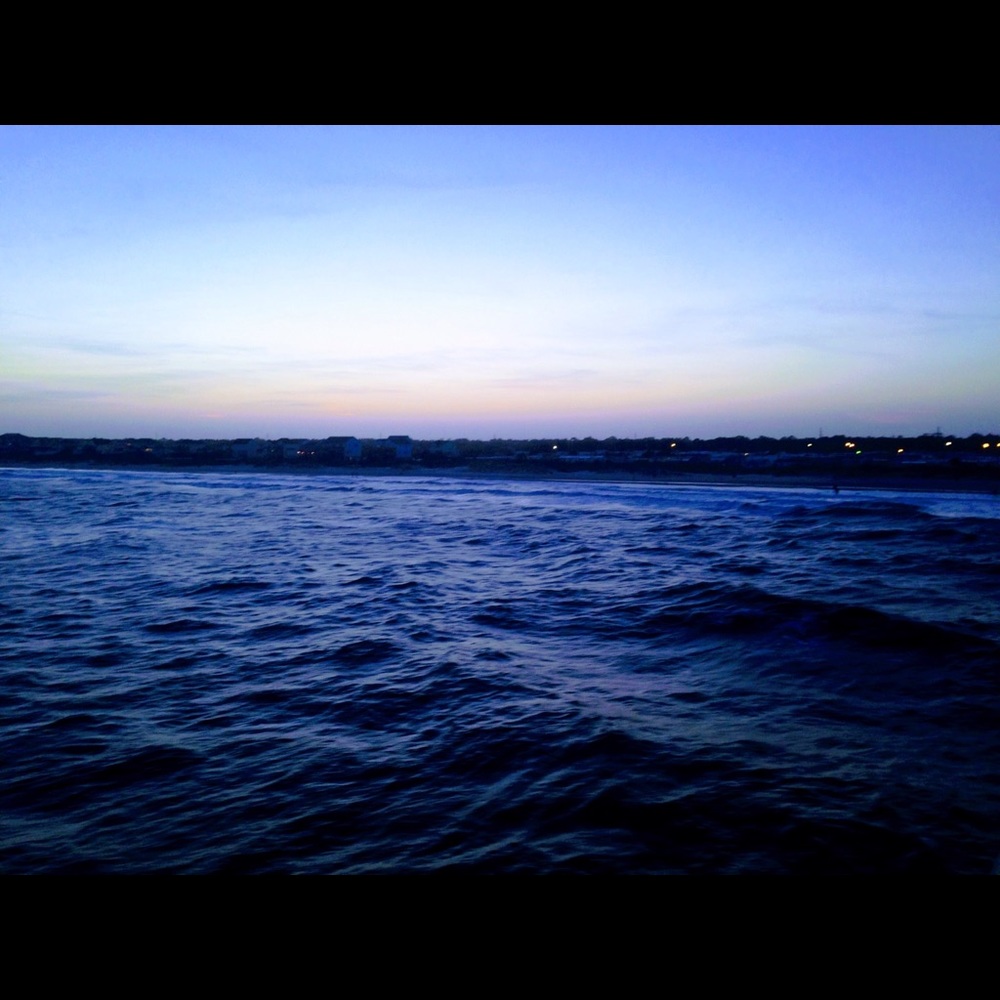 Meet your Posher, Lily