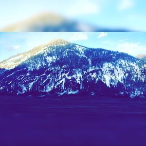 Meet your Posher, Ariana