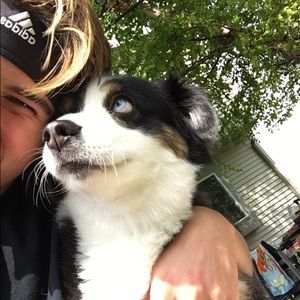 Meet your Posher, Daniel