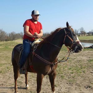 Meet your Posher, Kevin