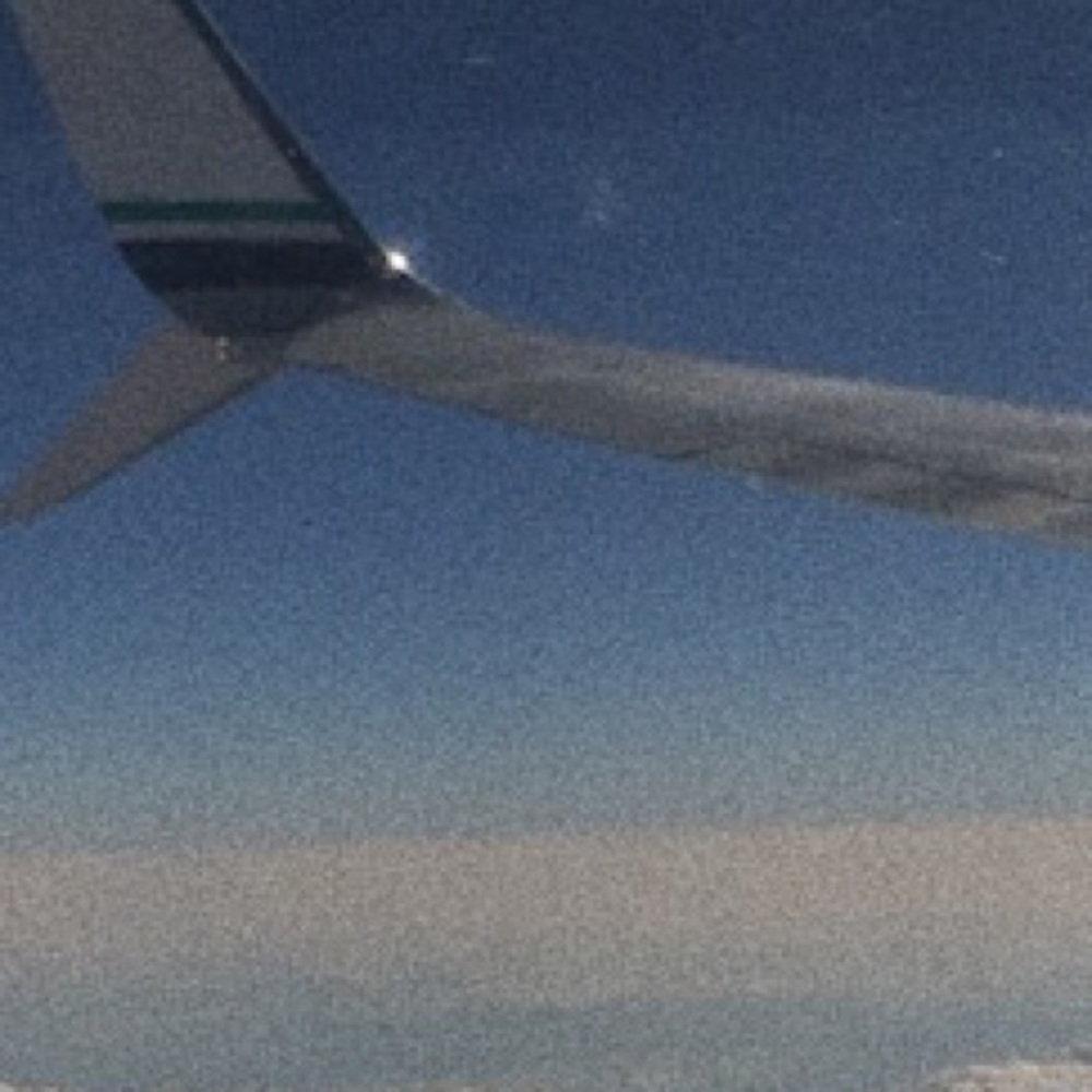 Meet your Posher, Patricia