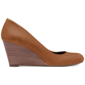 Sampson Wedge Pump