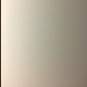 Meet your Posher, Hens