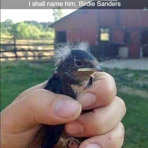 Meet your Posher, Charles