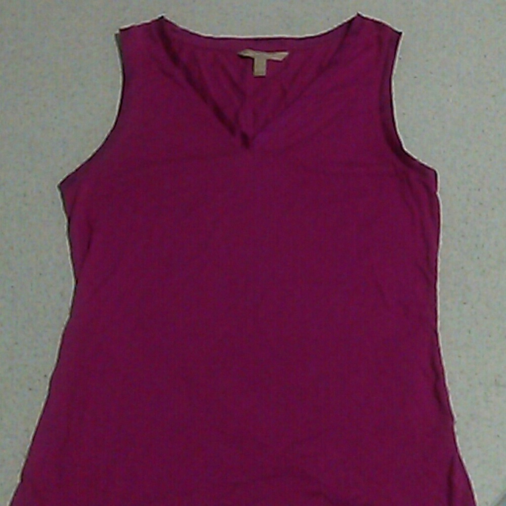 Purple Top With V line