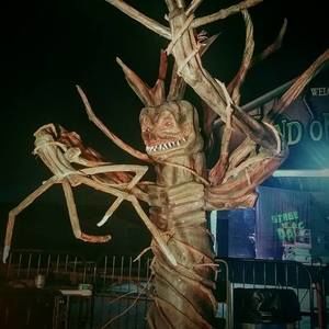 Meet your Posher, Jon