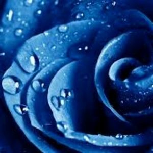 Meet your Posher, Tonika