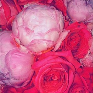 Meet your Posher, Jelena