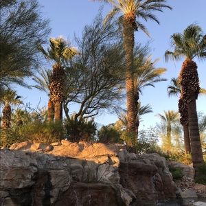 Meet your Posher, Alma