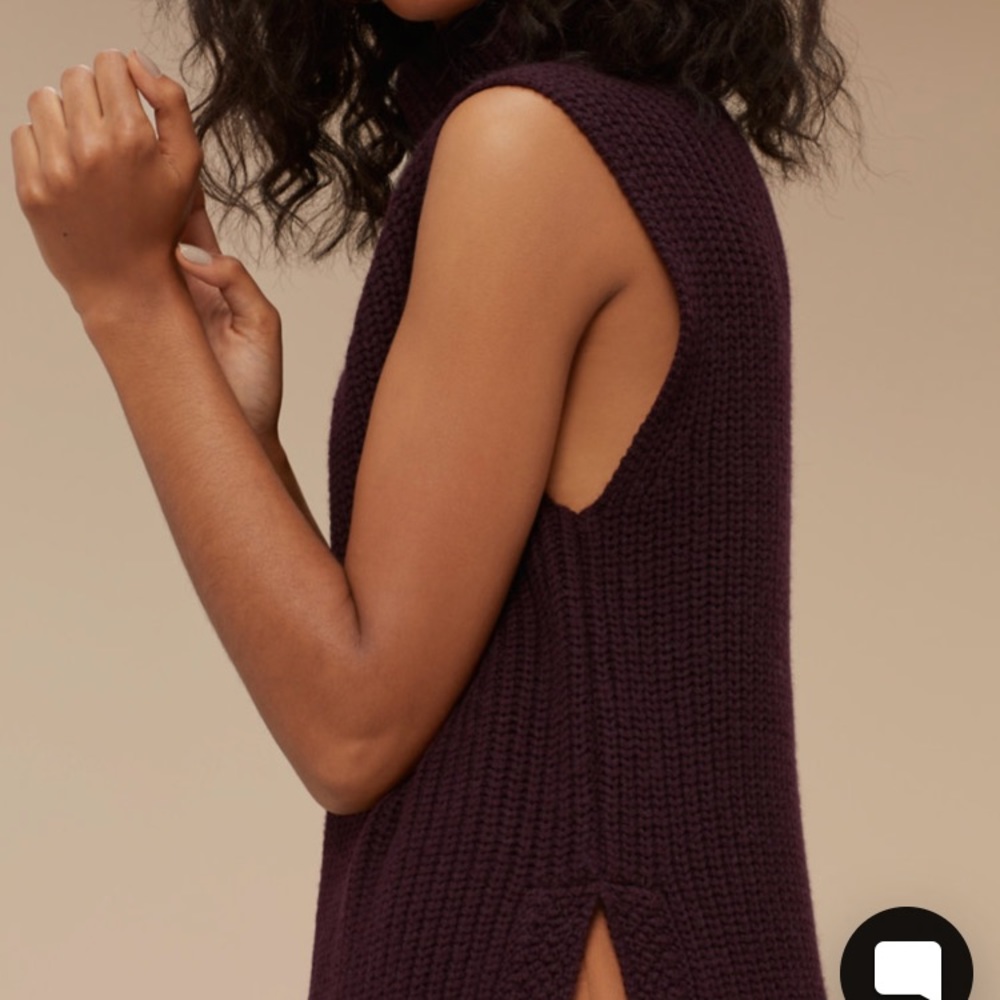 ARITZIA Wilfred Durandal Sweater