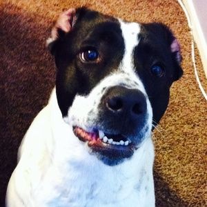 Meet your Posher, Destiny