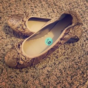 Woman's snake print ballerinas