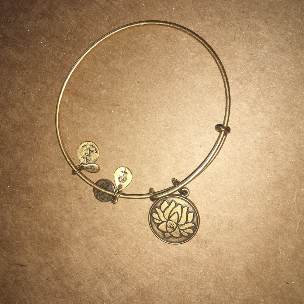 Alex & Ani Bangle