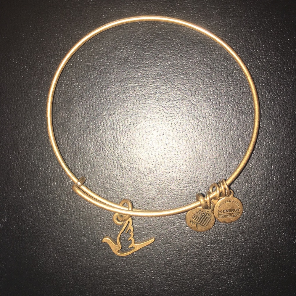 Alex & Ani Bangle