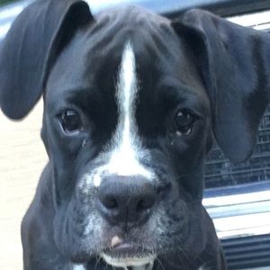 Meet your Posher, Kimberly