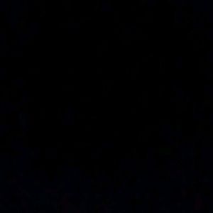 Meet your Posher, Martin