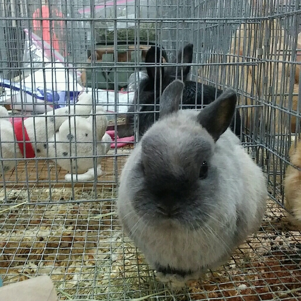 Meet your Posher, Kate