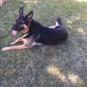 Meet your Posher, Summer