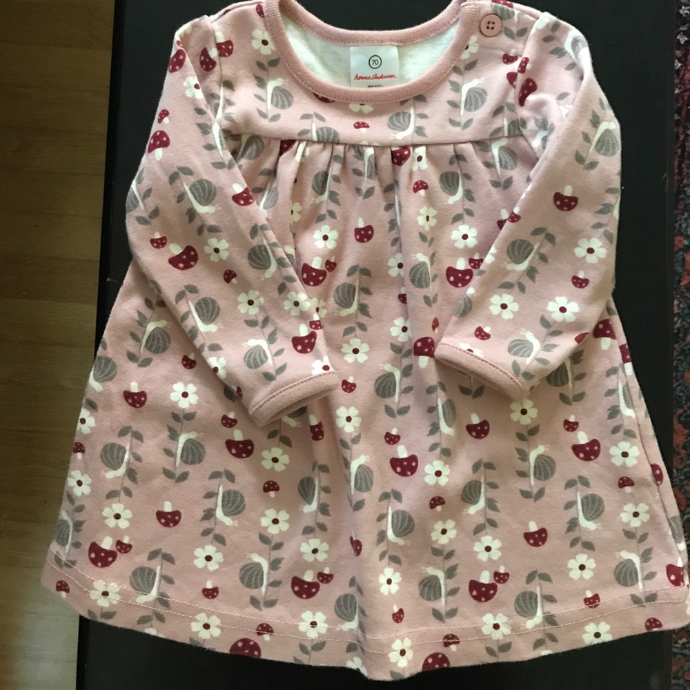 Hanna Andersson dress