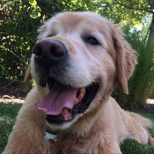 Meet your Posher, Mia