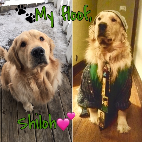 Meet the Posher - Picture 6 of 7