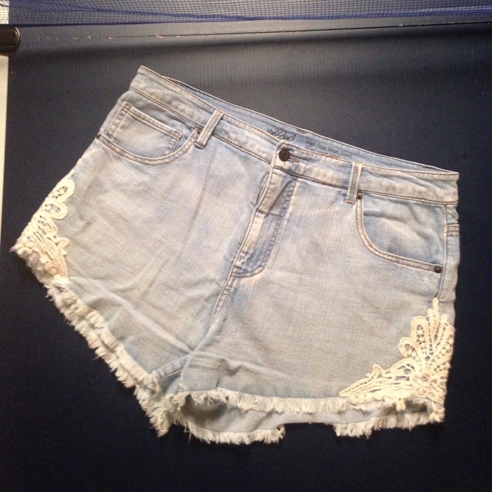Plus size Light blue Denim Embroidered shorts