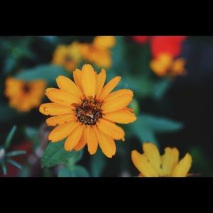 Meet your Posher, Abbi