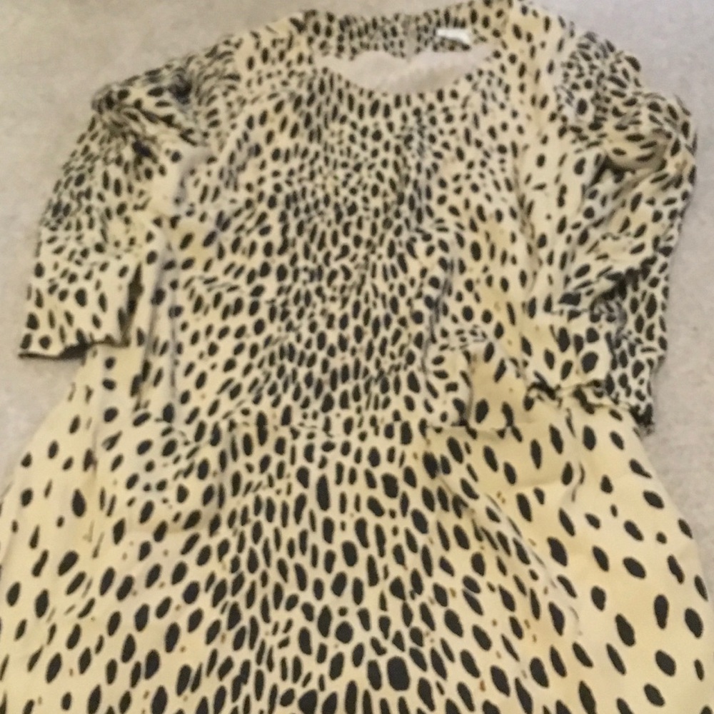 J. Crew leopard shift dress