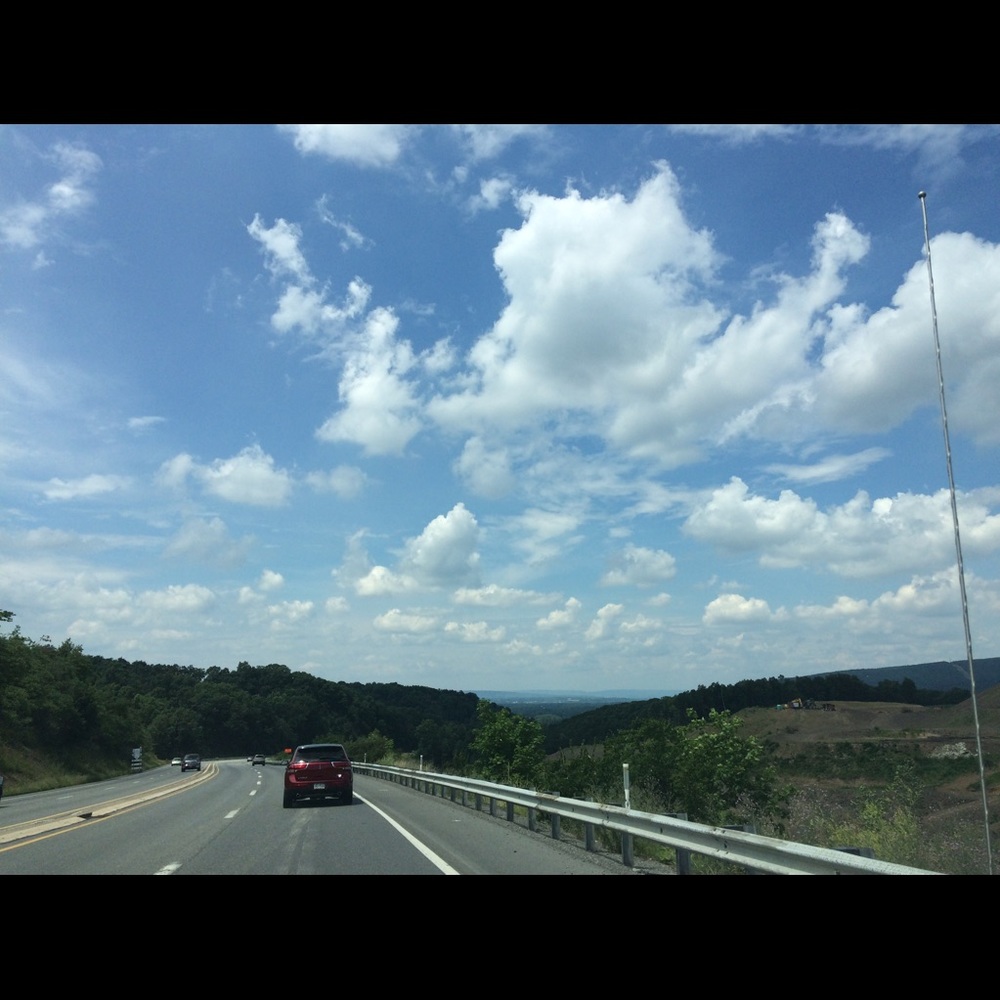 Meet your Posher, Holly