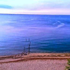 Meet your Posher, Sammy