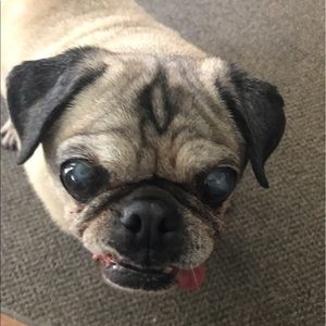 Meet your Posher, Ron