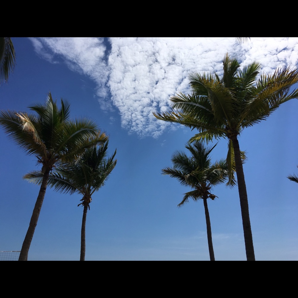 Meet your Posher, Diana