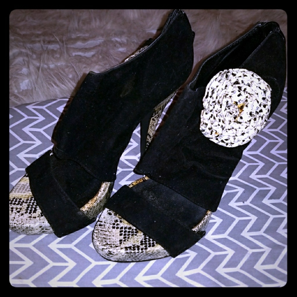 Snake Skin Print & Black Suede