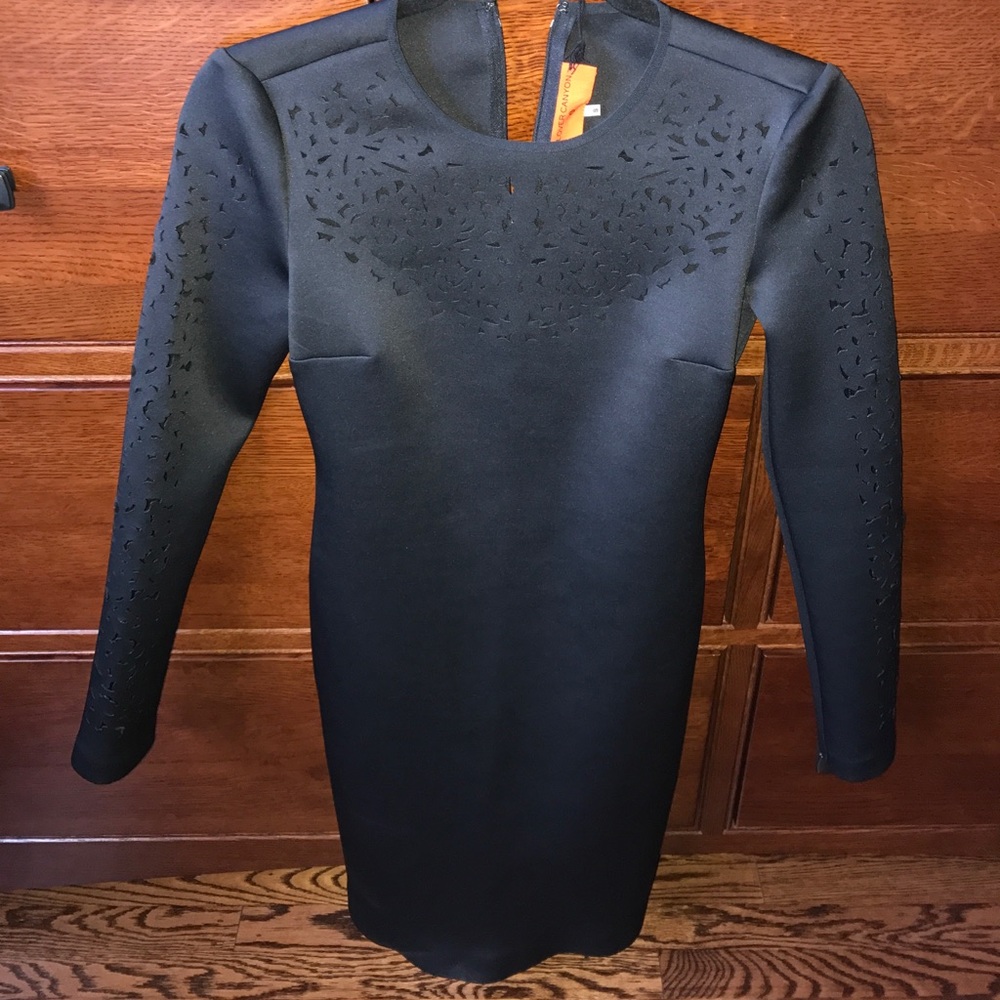 Clover Canyon dress