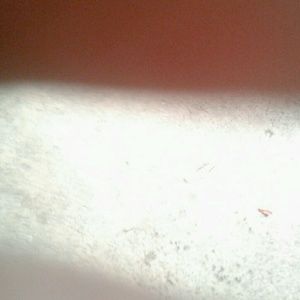 Meet your Posher, Tara