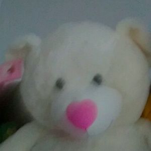 Meet your Posher, Roberto