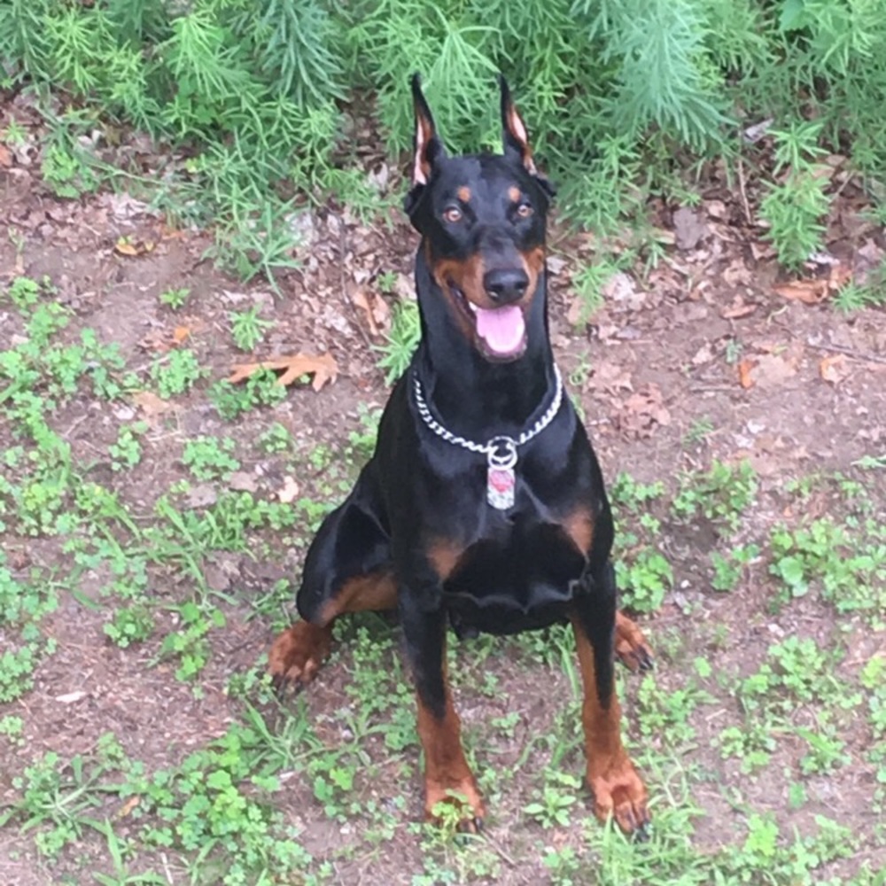 Meet your Posher, Adahlia