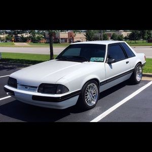 Meet your Posher, Korey