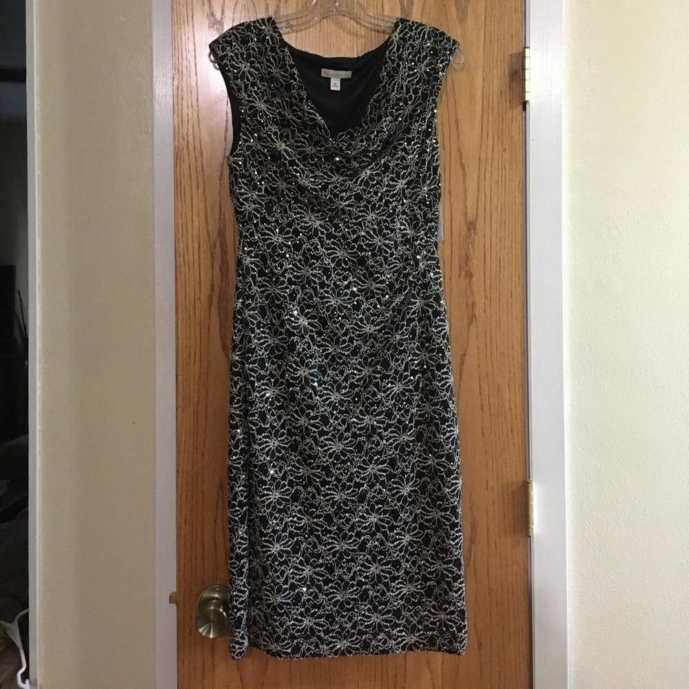 Stunning NWT holiday dress!